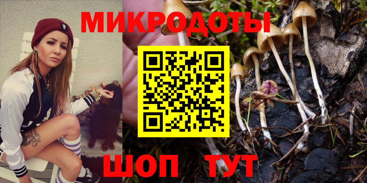Псилоцибиновые грибы Psilocybe Клинцы