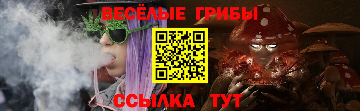 Клинцы  Галлюциногенные грибы ЛСД  Вход с VPN 